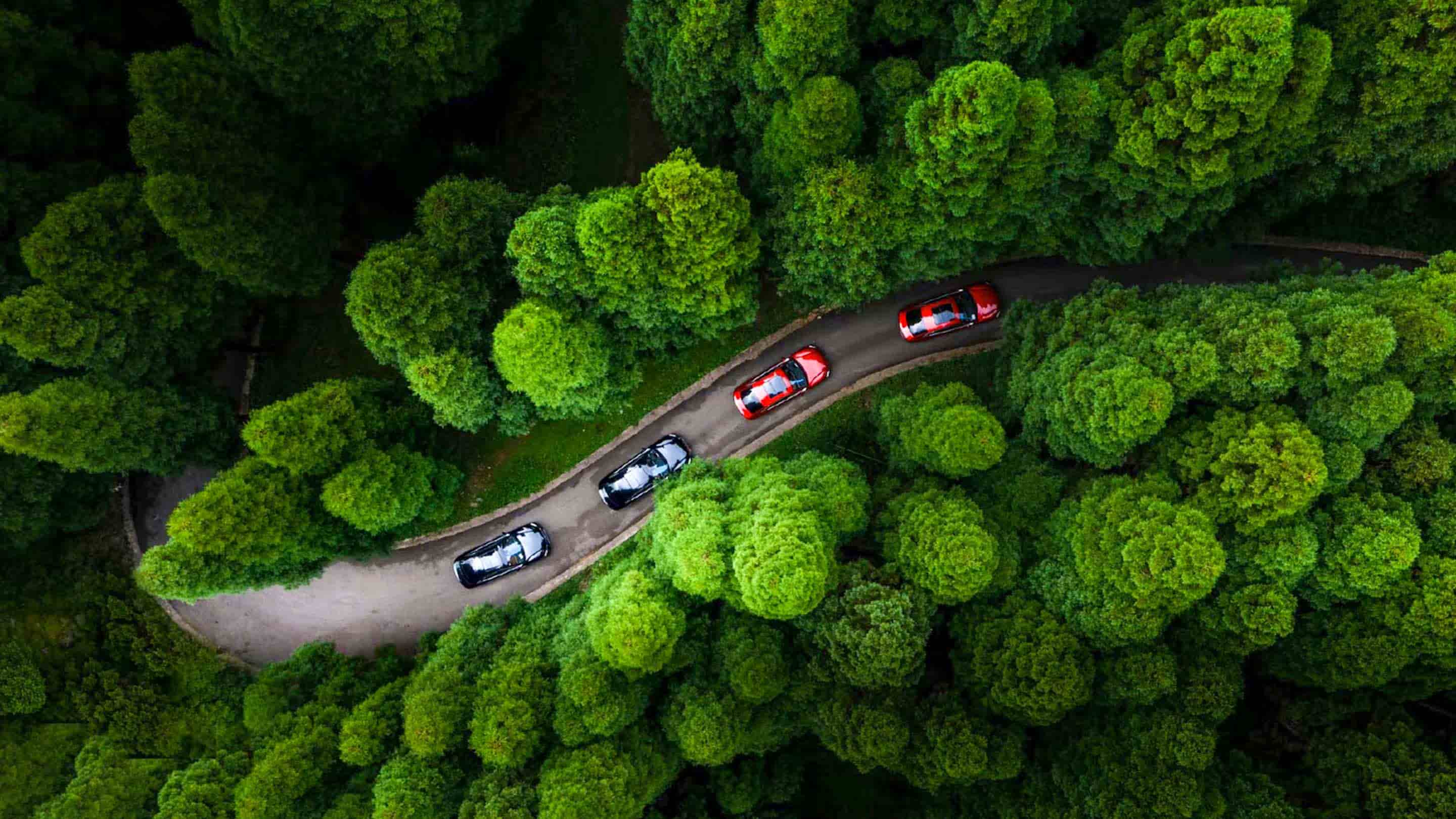 Zero Emissions